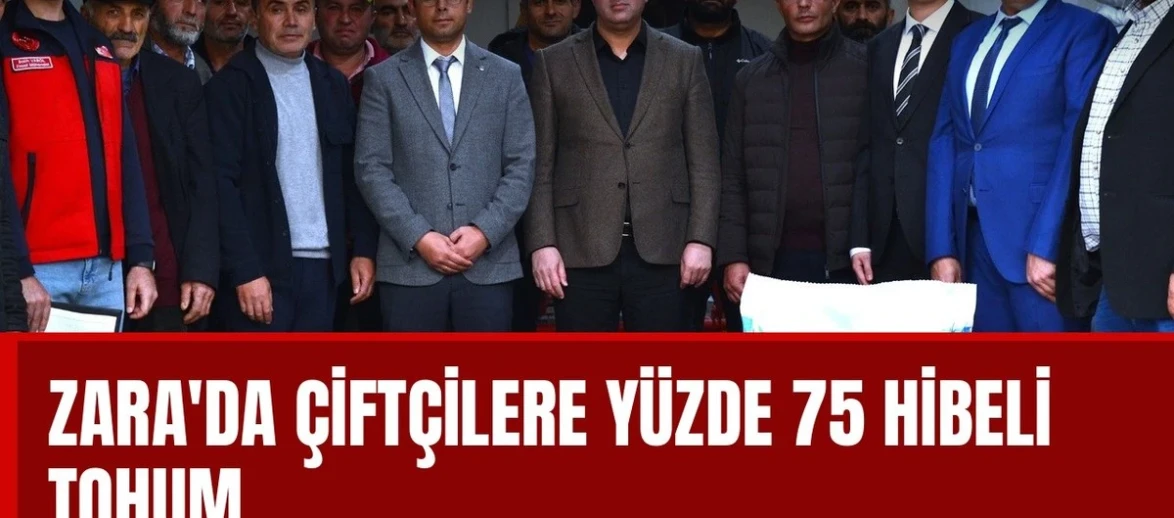 Zara'da çiftçilere yüzde 75 hibeli yem tohumu