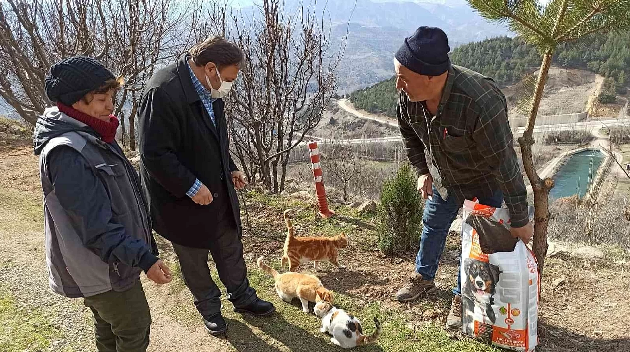 Sokak hayvanları için unutulmaz bir jest: 1 ton mama dağıtıldı!
