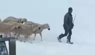 Sivas'ta Mahsur Kalan Çobanlar ve Koyunları Kar ve Tipiden Kurtarıldı!