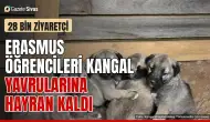 Erasmus öğrencileri Kangal yavrularına hayran kaldı