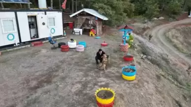 Kafes Balıkçısı Sadullah Sezer, Köpekleriyle Tekne Turunda