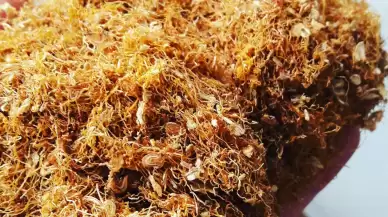 Sivas'ta kaçak tütün ürünleri ele geçirildi
