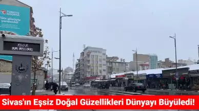 Sivas'ta Kışın Zorlu Yüzü: Doğa Göz Kamaştırıyor
