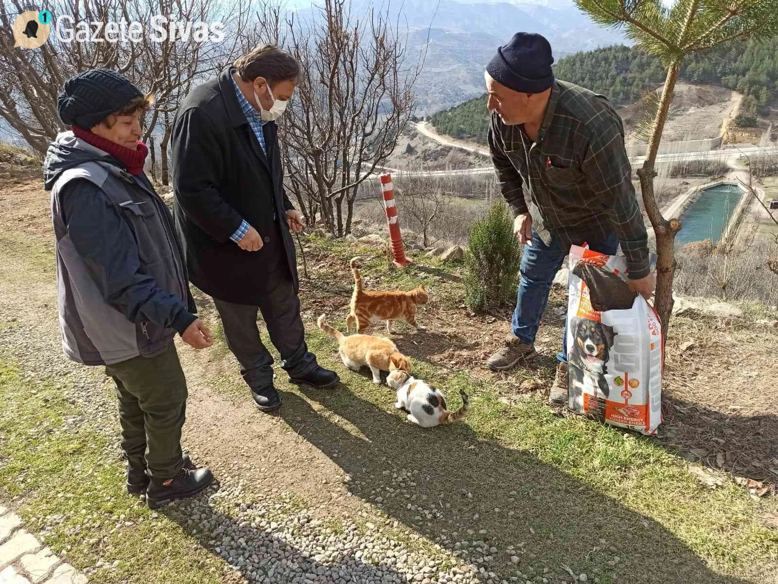 Sokak hayvanları için unutulmaz bir jest: 1 ton mama dağıtıldı!