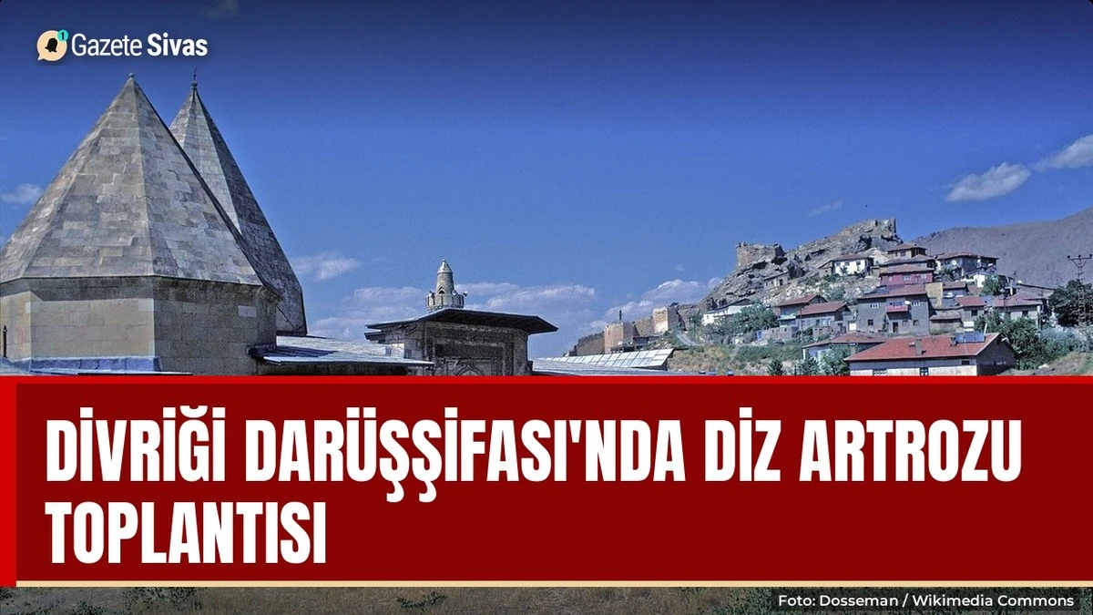 Divriği Darüşşifası'nda diz artrozu toplantısı